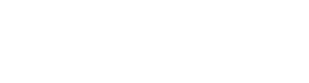 gov icon